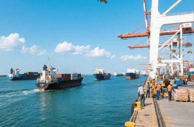 上海國際海運代理服裝進口有何獨特策略